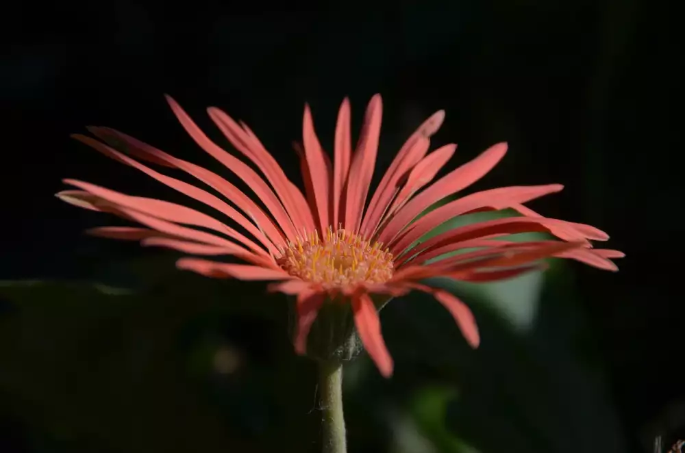 Kdy Mají Děti Prázdniny