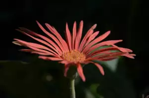 Kdy Mají Děti Prázdniny